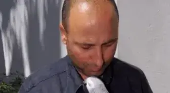 Papağan Efe Korkuttu
