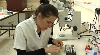 Yrd. Doç. Dr. Esin Güven Kana Doyan Bir Kene 7 Bin Yumurta Bırakıyor