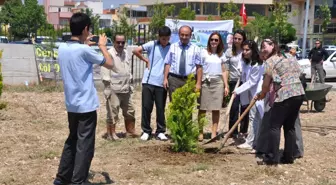 Yüz Fidan Toprakla Buluştu