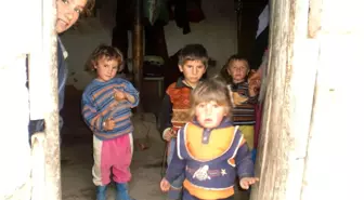 Göçer Sorununda Mutlu Son