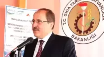 Manyaslı Süt Üreticilerinin Beklediği Proje Hayata Geçti