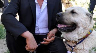Nevşehir'de Köpek Yarışması