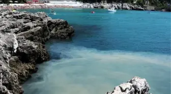 Plajda Kanalizasyon Kirliliği
