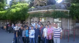 Türkali İlköğretim Okulu Ankara Gezisi Düzenledi