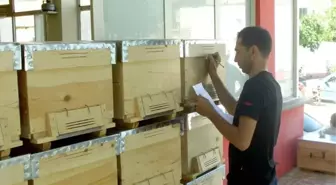 Kadıköy'de Başkan Hasan Özel'den Arıcılara Kovan Desteği