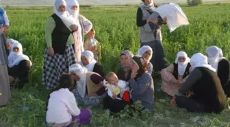 Murat Nehri'nde 2 Çocuğun Kaybolması