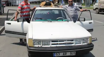 Bu Ancak Rize'de Olur