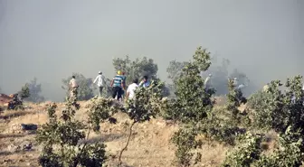 Nusaybin Bagok Dağında Yangın Çıktı