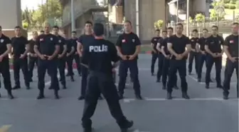 Açılır Cop