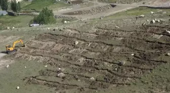 Digor'da Ağaçlandırma Çalışmaları