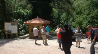 Şelale Çıkmazı