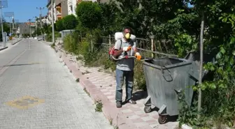 Domaniç'te Cadde ve Sokaklar İlaçlanıyor