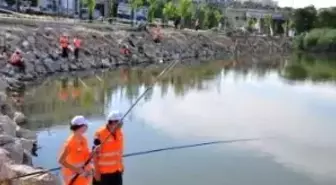 Oltalar En Büyük Sazan İçin Atıldı