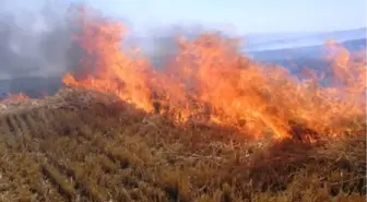 Sıcak Havalarda Yangına Dikkat