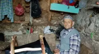 Son Semercinin Direnişi