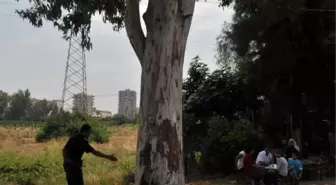 2 Çocuğu Kurtarmak İsterken Yılan Kendisini Soktu