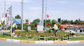 Adıyaman'a Yaz Çiçekleri