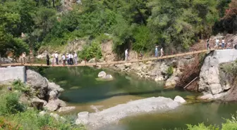 Alanya'da 'Aromatik Cennet Vadisi' Oluşturuluyor