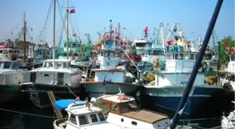 Balıkçılardan Başbakan Erdoğan'a Açık Mektup