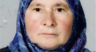 Tatile Giderken Mıcır Yüzünden Canından Oldu