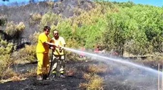 Elektrik Telleri Birbirine Çarptı, 2 Hektar Orman Yandı