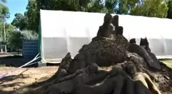 Kumdan Heykeller Selçuk'ta