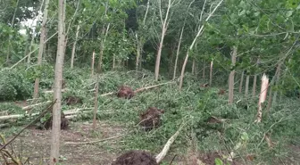 Çarşamba'da Hasar Tespit Çalışması