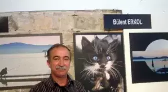 50 Yaşından Sonra Sanat Öğrendi