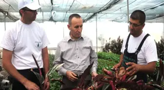 Umep Gençleri Staja Başladı