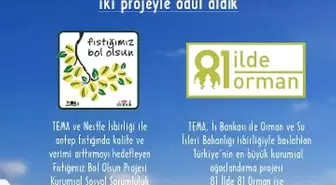 Altın Pusula'dan Tema Projelerine Çifte Ödül