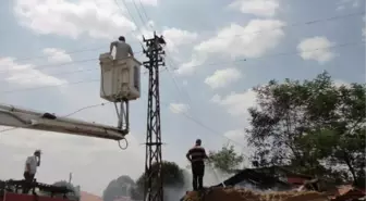 Leylek Yuvası Yangına Neden Oldu