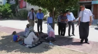 Barbaros Mahallesi'ne Canlılık Geldi