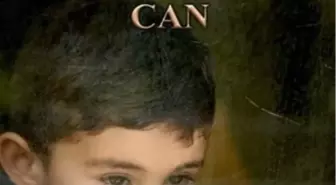 Festivallerin Yıldızı