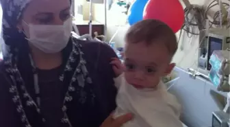 Kök Hücreyle Beraber İnce Bağırsak Nakli 9 Aylık Hüseyin Bebeğikurtardı