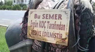 Eşekte 'Semer' Tartışması