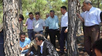 Vali, Reçine Üretim Sahalarını İnceledi