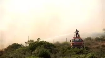 Didim'de Makilik Alanda Yangın