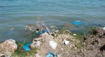 Çöplük Değil Halk Plajı