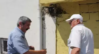 Kovandan Kaçan Arılar, Vatandaşları Korkuttu