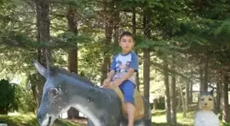 Melikgazi ' de Yapay Hayvanat Bahçesi