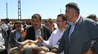 Yaman, Hayvan Pazarını Ziyaret Etti