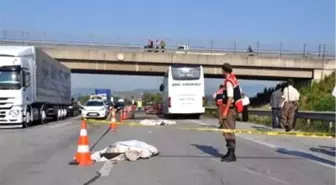 Düzce'deki Trafik Kazası