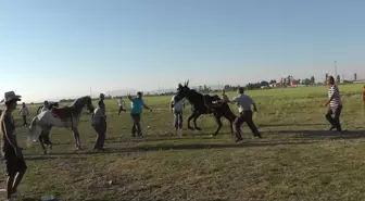 Beyşehir'de Rahvan Atlar Yarıştı