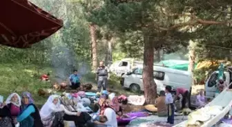 Ayvalı Köylüleri Festivalde Buluştu