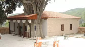 Sultan Sarıbaba Türbesinde Restorasyon Çalışması