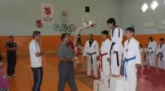 Taekwondo İl Birinciliği Müsabakaları Sona Erdi