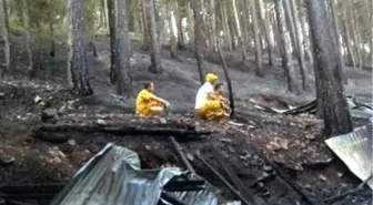 Niğde'de 150 Hektarlık Çam Ormanı Yandı