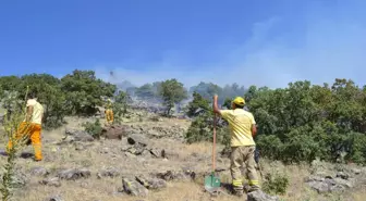 Niğde'deki Orman Yangını Sürüyor