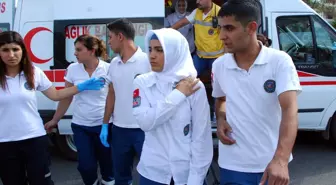 Hasta Taşıyan Ambulans Kamyonetle Çarpıştı: 5 Yaralı