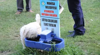 Manisa'nın İlk Köpek Parkı Hizmette